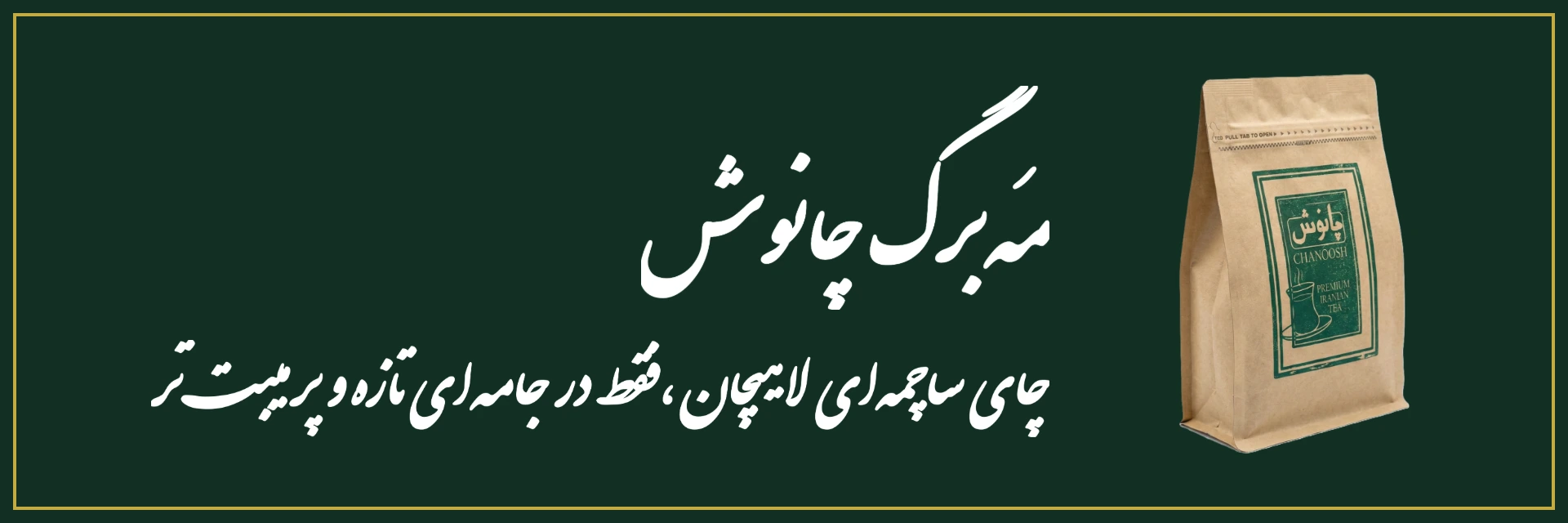 چانوش